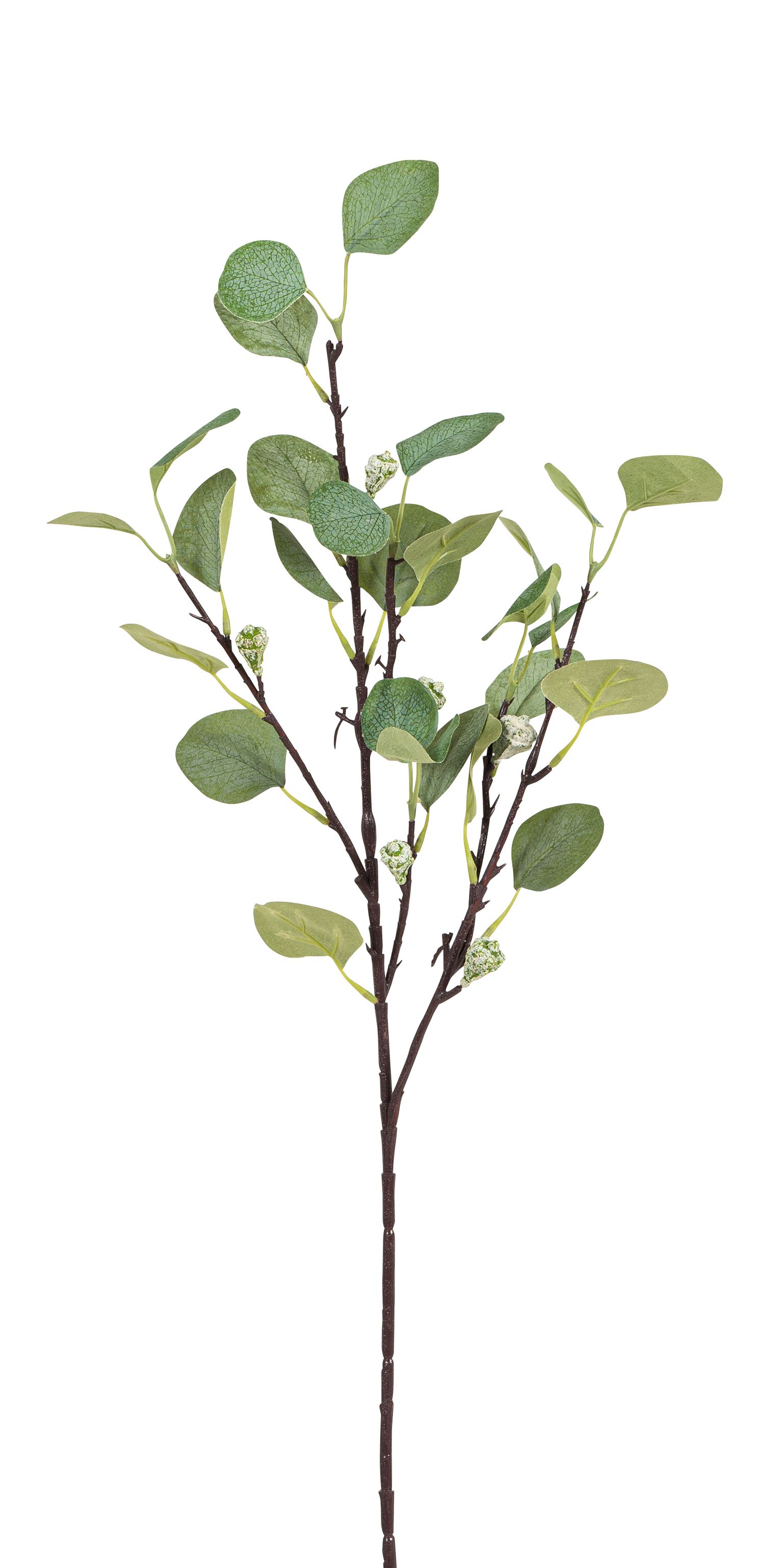 Eukalyptuszweig x 27 67cm Farbe: grün