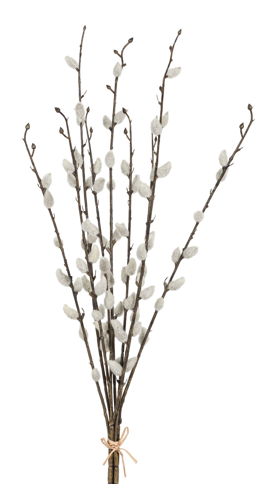 Palmkätzchenbund 9-fach 55cm Farbe: natur