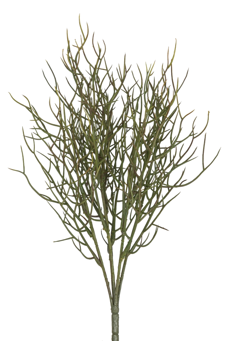 Korallenbusch x 5 46cm Farbe: grün
