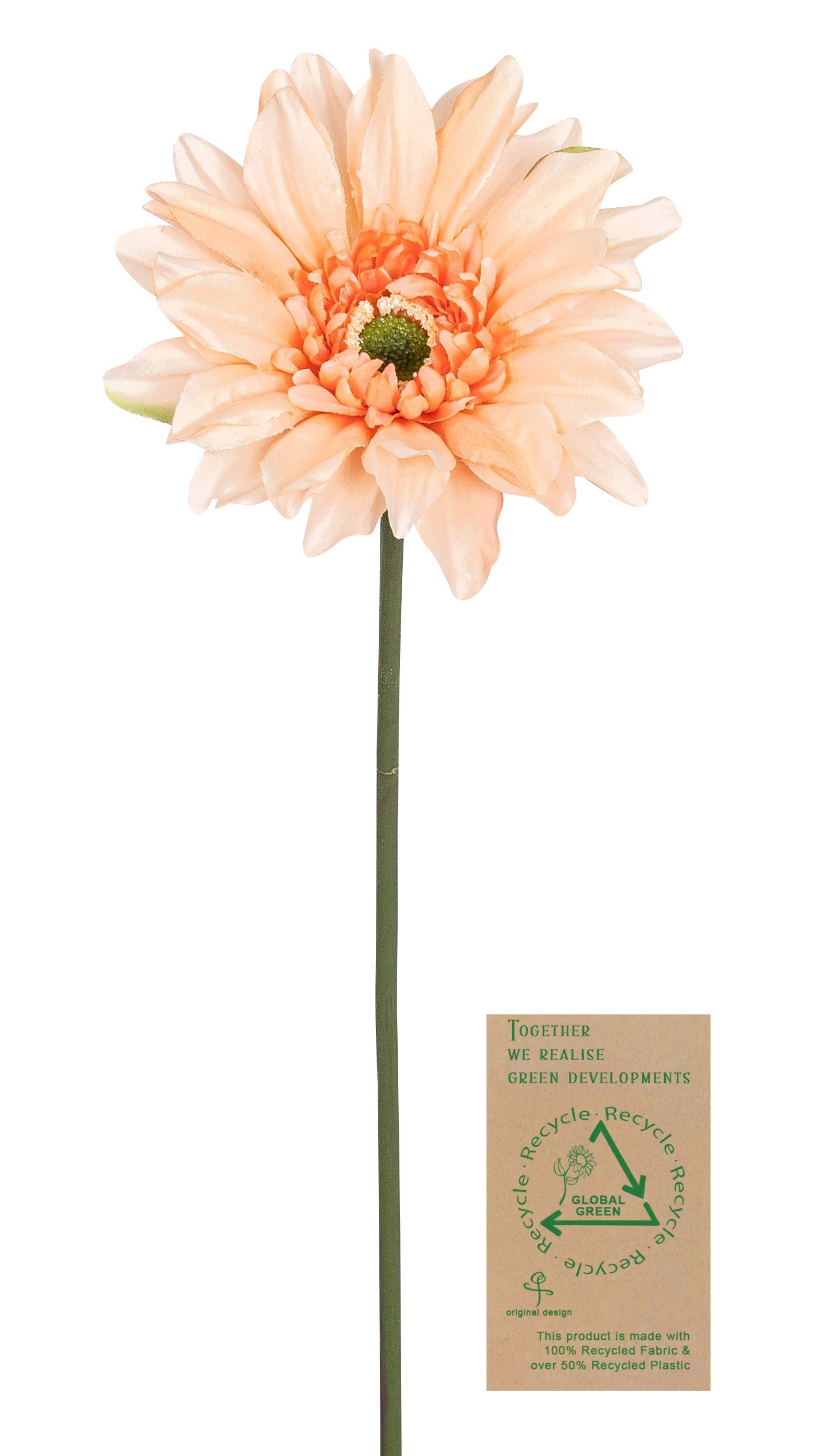 Gerbera RE 66cm Blütenkopf Ø ca. 12cm Farbe: lachs