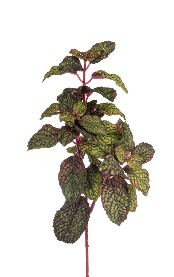 Minze 3-fach 28cm Farbe: grün-burgund