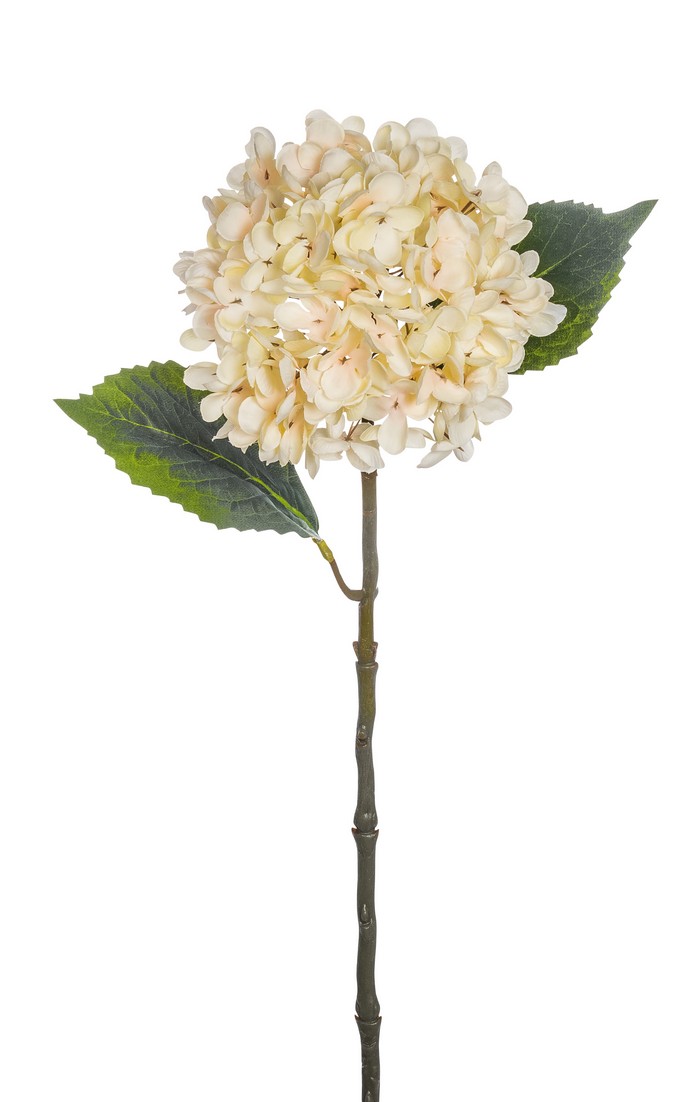 Hortensie 55cm Blütenkopf Ø ca. 15cm Farbe: elfenbein