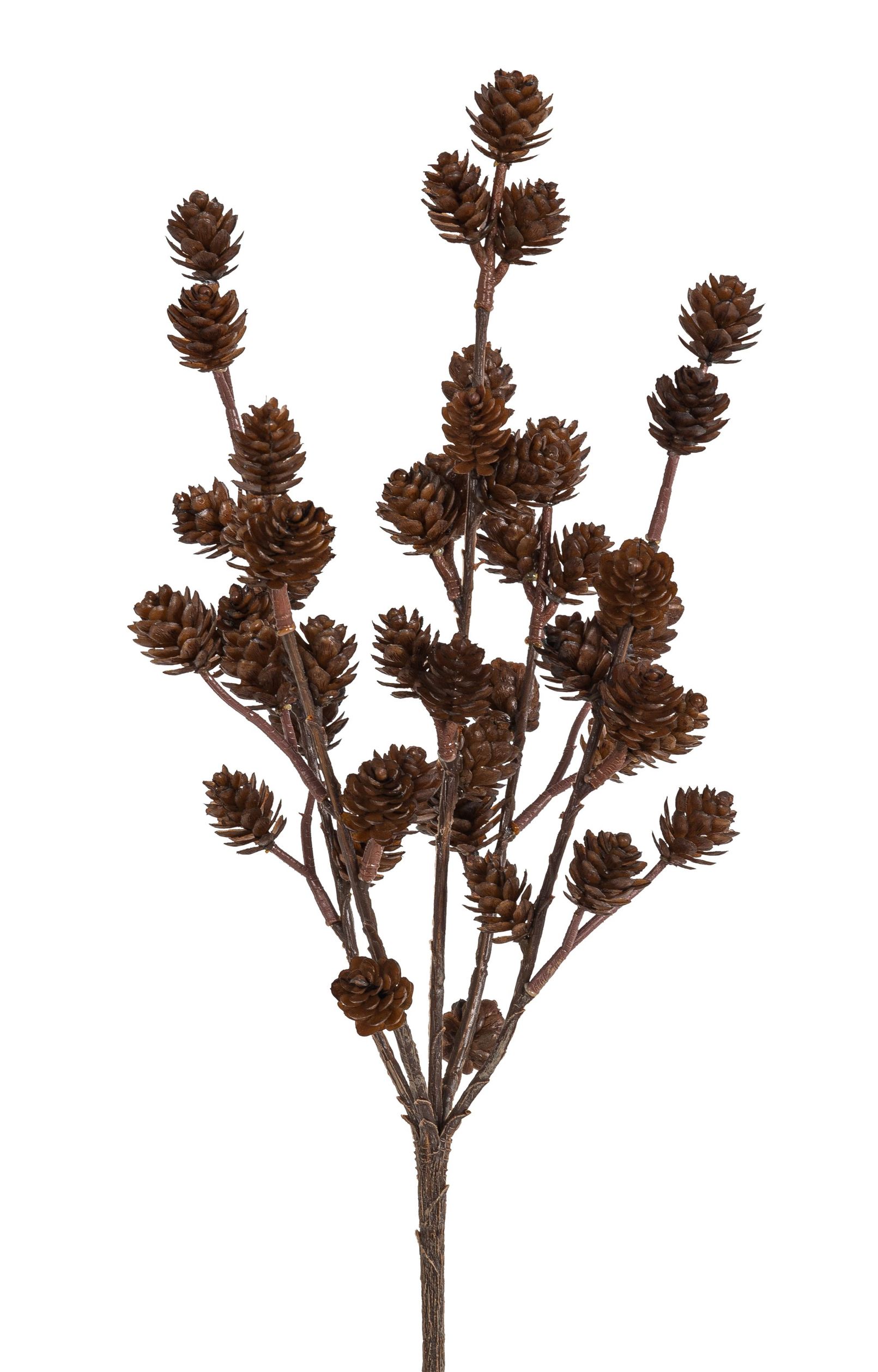 Lärchenzapfenbusch x 5 37cm Farbe: braun