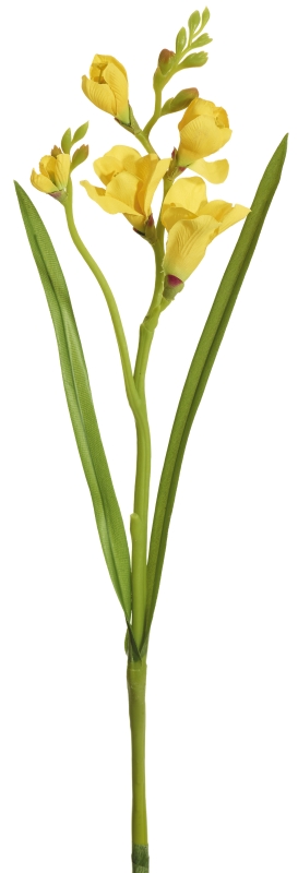 Freesie 2-fach 53cm Blütenkopf Ø ca. 3/4cm Farbe: gelb