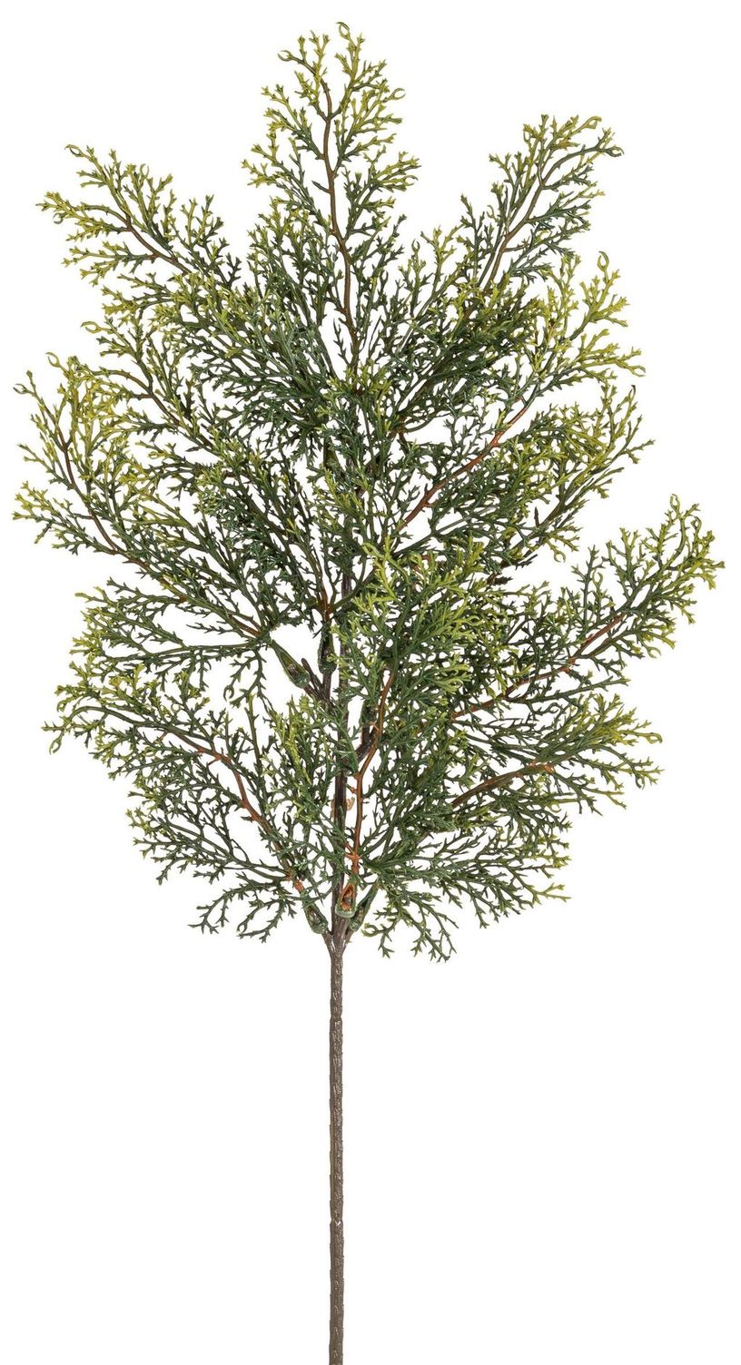 Zedernzweig 52cm Farbe: grün