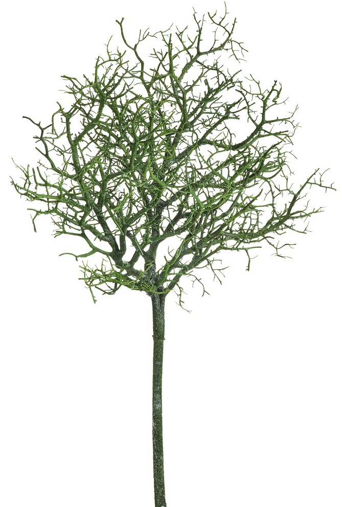 Korallenbusch 74cm Farbe: grün