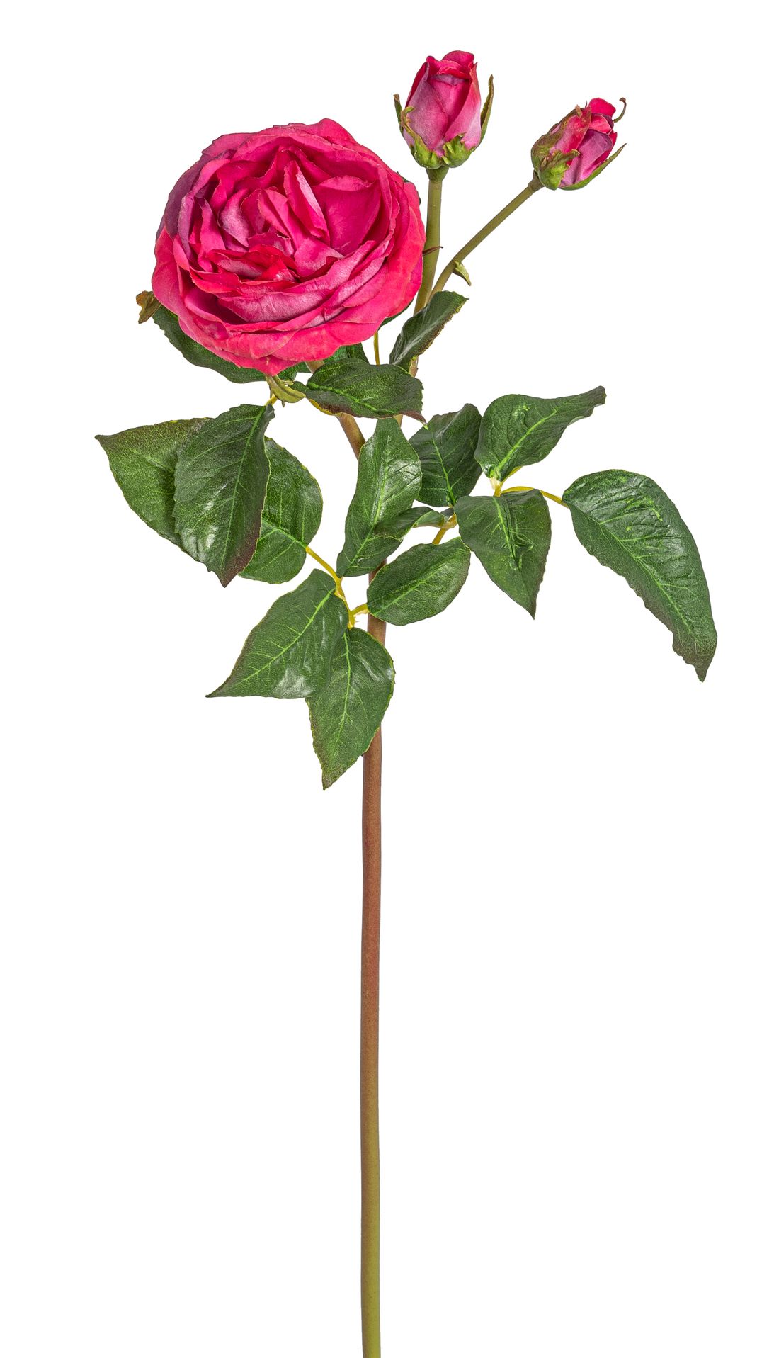 Gala-Rosenzweig x 3 52cm Blütenkopf Ø ca. 2/3/9cm Farbe: cerise