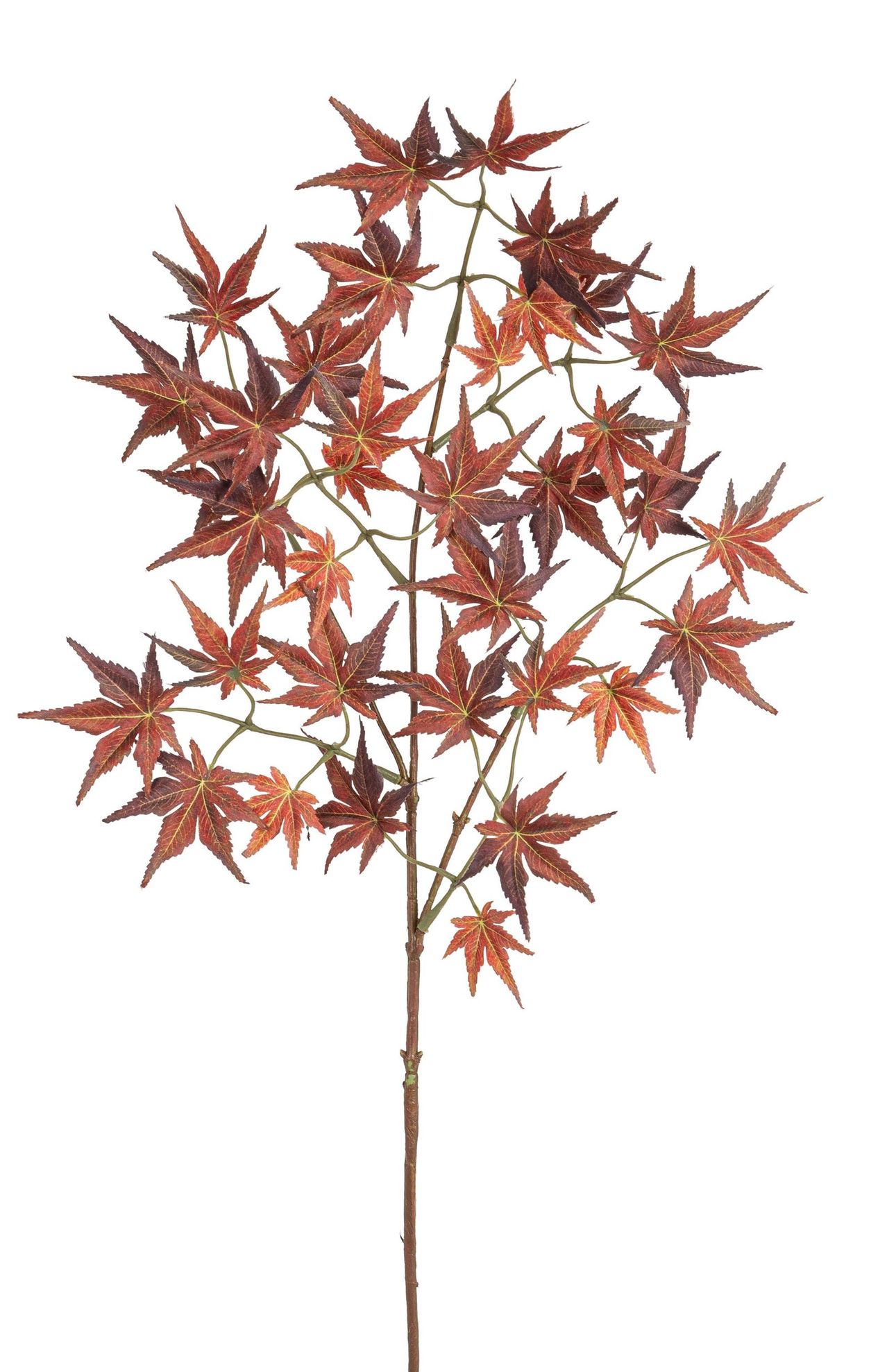 Ahornzweig Mini x 35 73cm Farbe: burgund-goldgelb