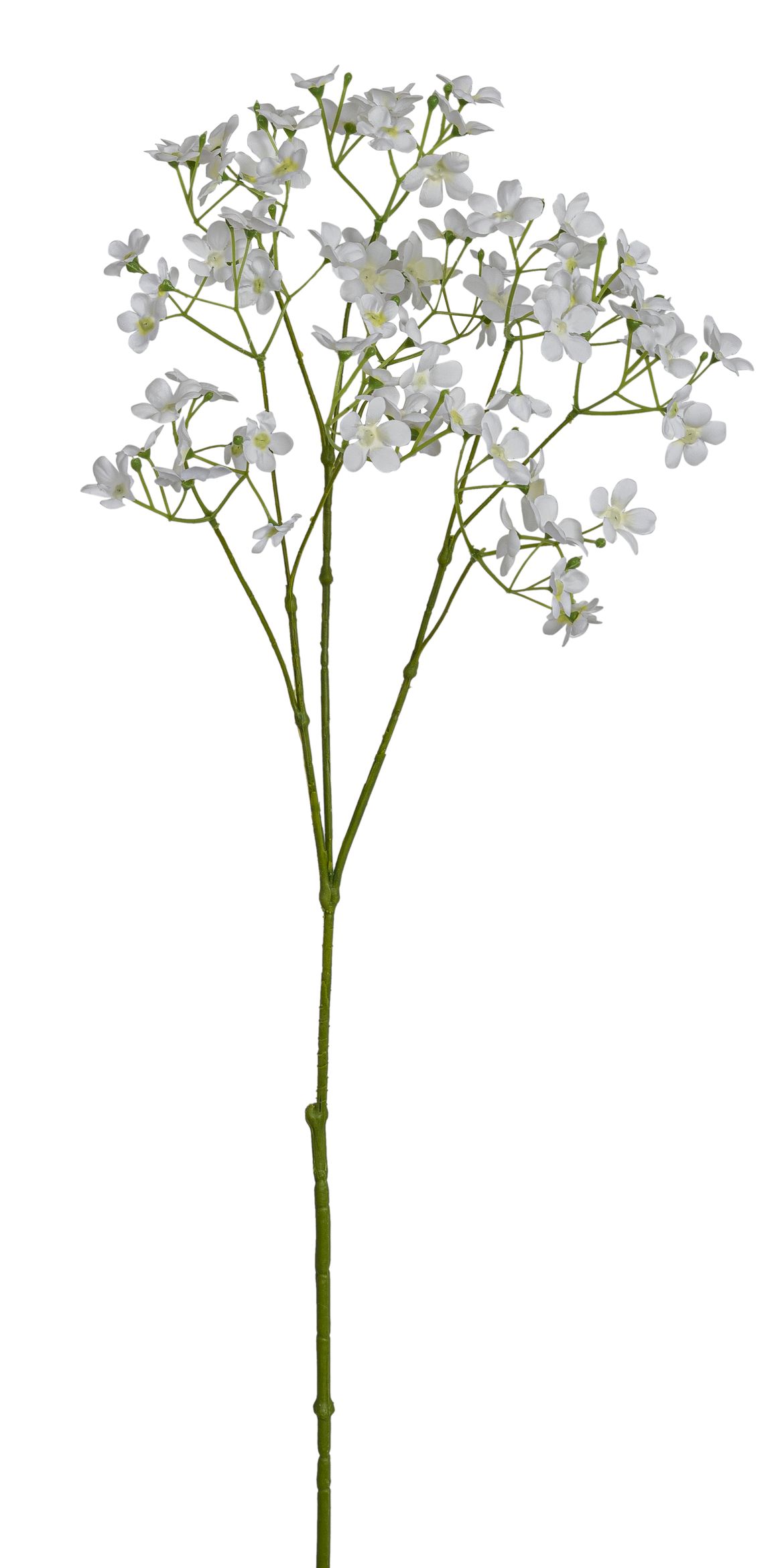 Blütchenzweig 3-fach 73cm Farbe: weiß
