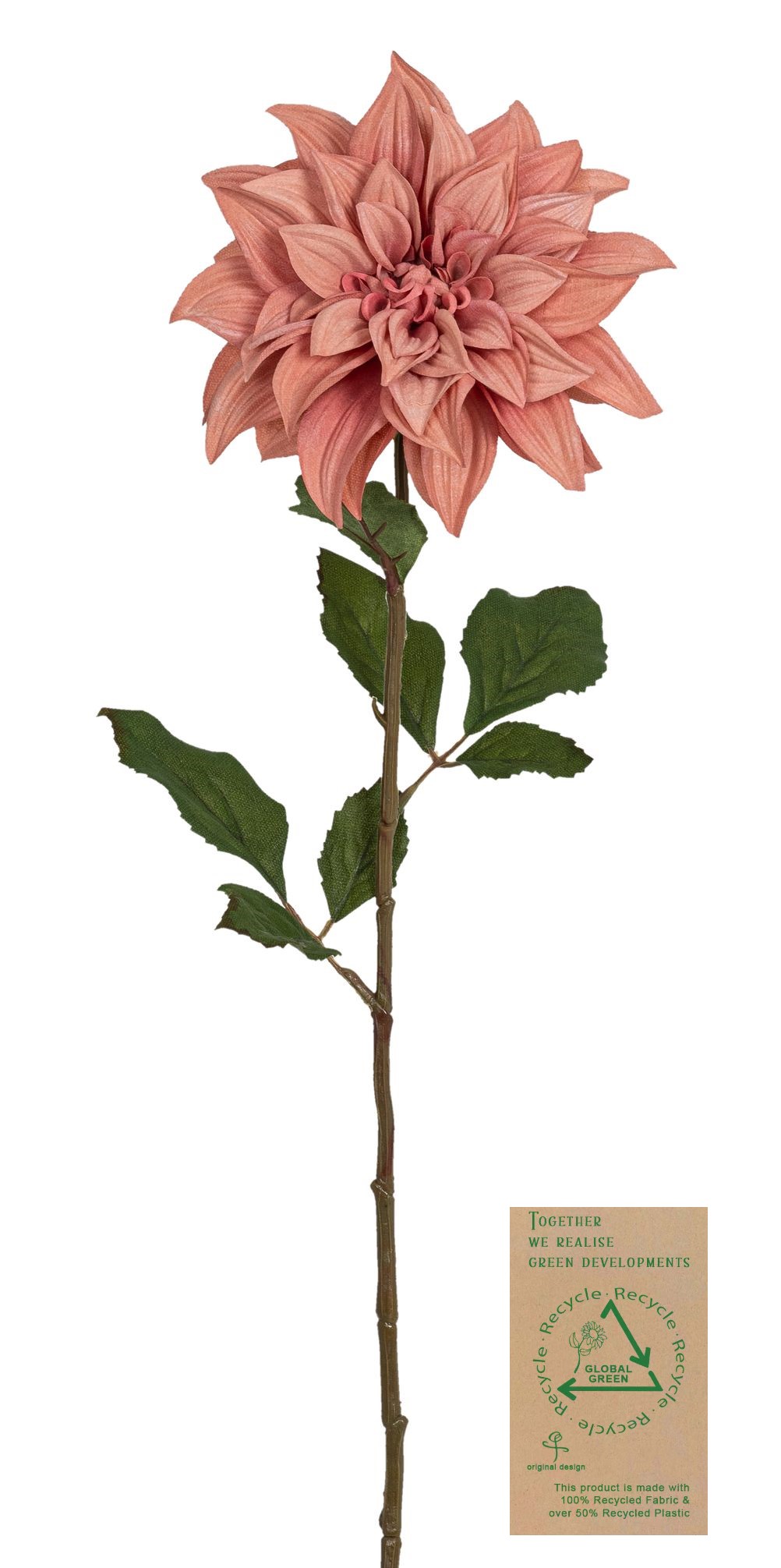 Dahlie RE 66cm Blütenkopf Ø ca. 16cm Farbe: altrosé