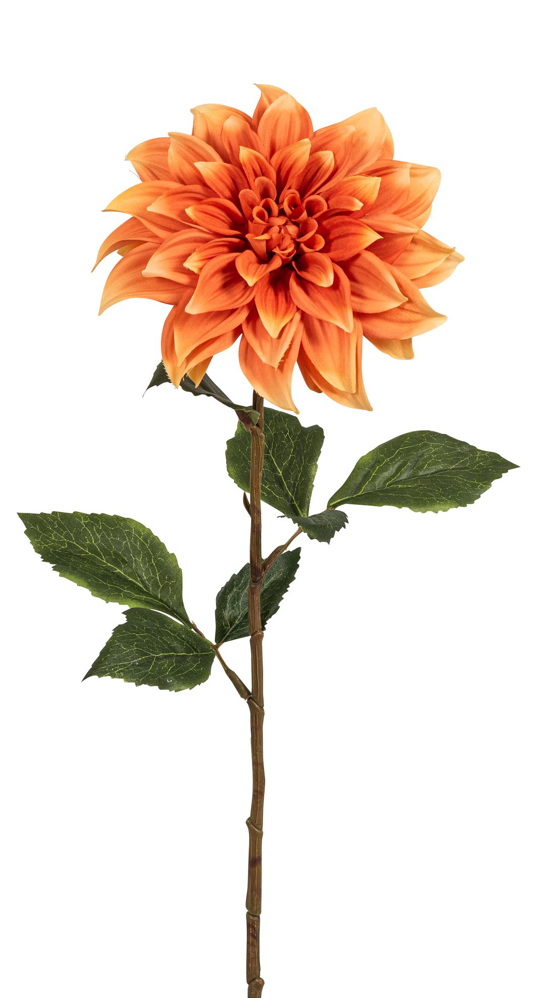 Dahlie 65cm Blütenkopf Ø ca. 16cm Farbe: orange