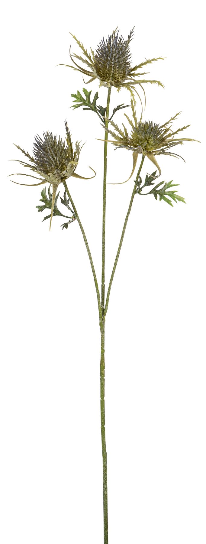 Distelzweig x 3 73cm Blütenkopf Ø ca. 3,5cm Farbe: grün-lila