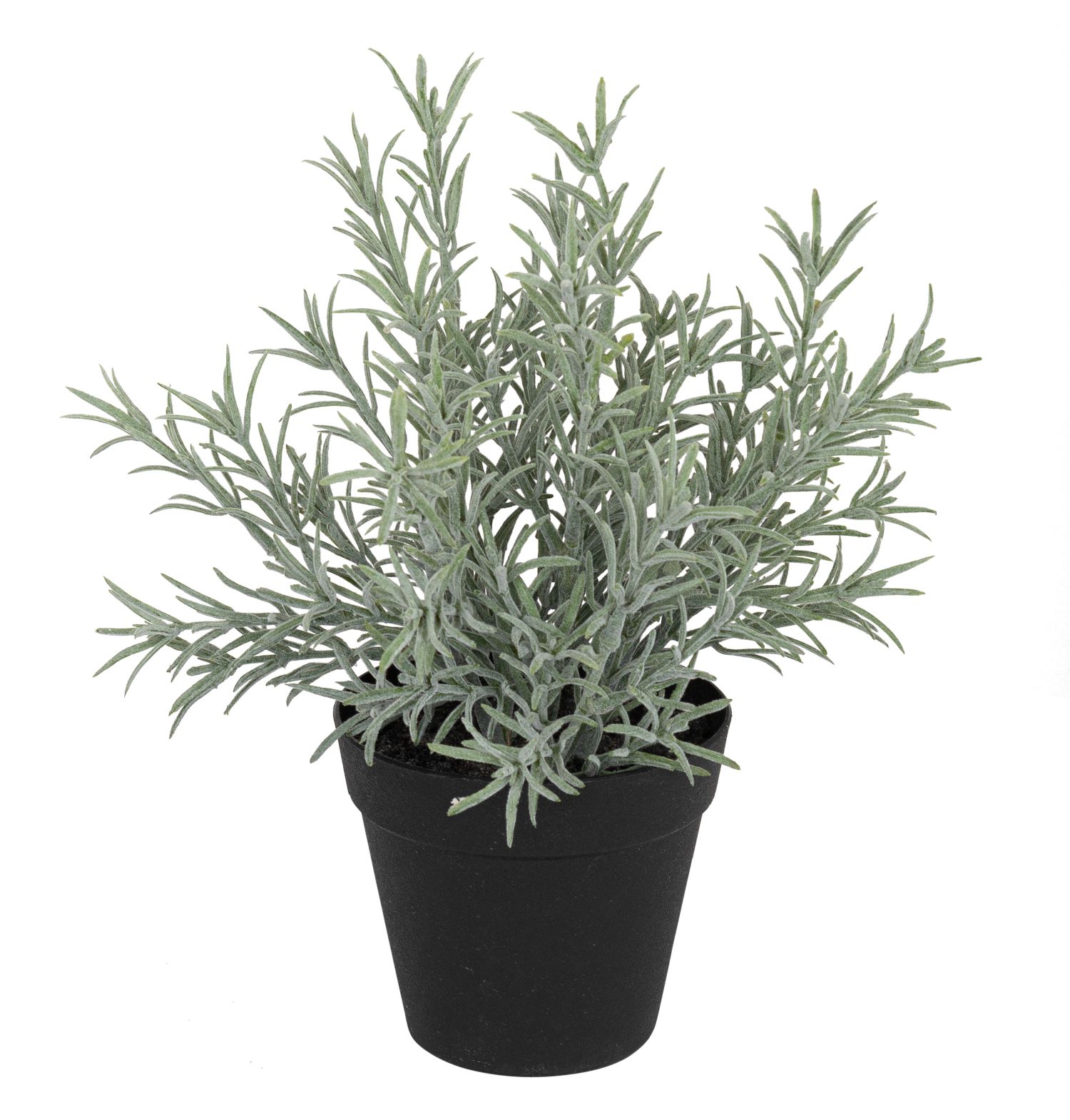 Lavendeltopf 30cm Topf: Höhe ca. 11,5cm Ø oben ca. 12,5cm Ø unten ca. 8cm Farbe: grün-weiß