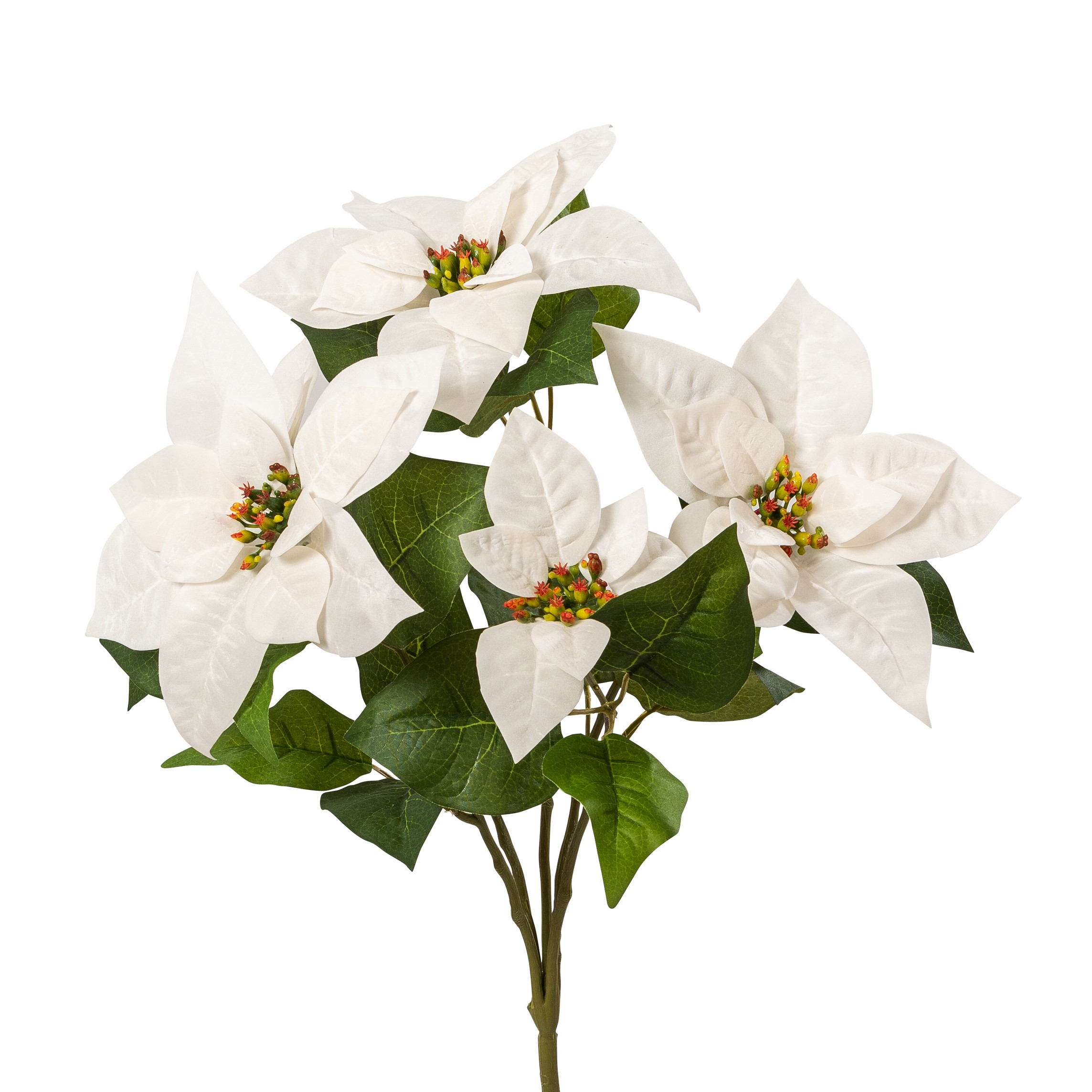 Velvet-Poinsettiabusch x 5 45cm Blütenkopf Ø ca. 12/17cm Farbe: elfenbein