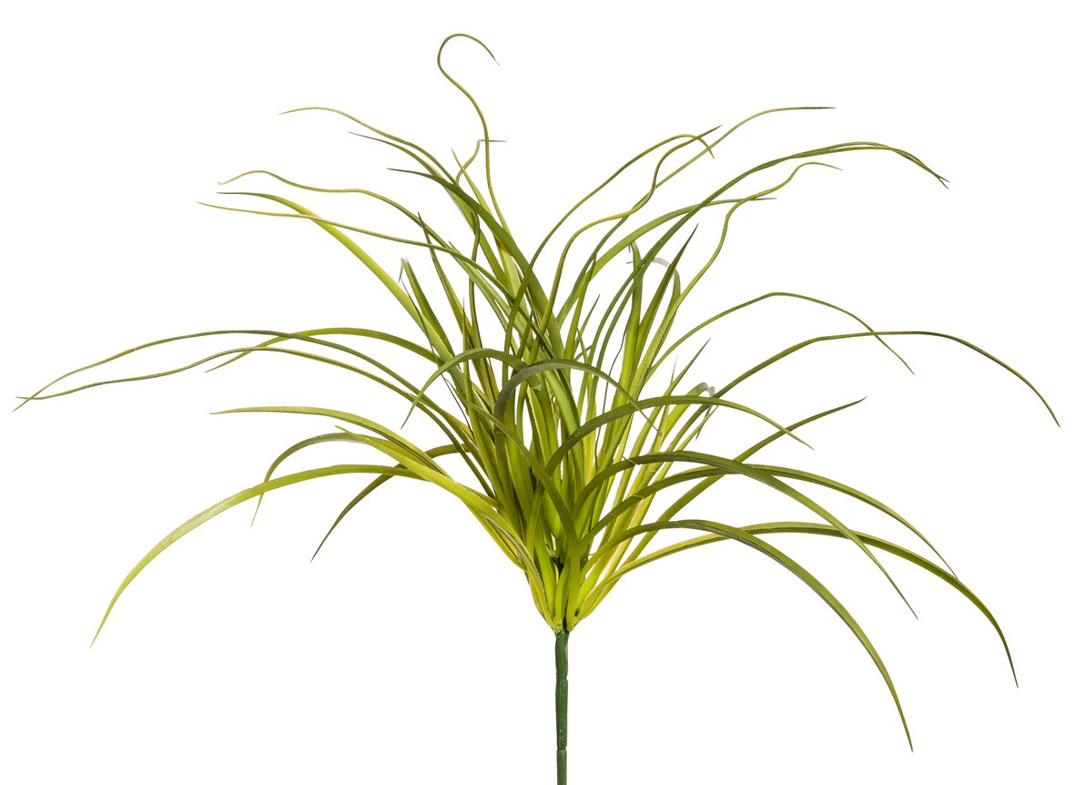 Schlangengrasbusch 50cm Farbe: grün-gemischt