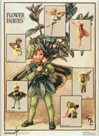 Poster-Flower-Fairies III Farbe: grau