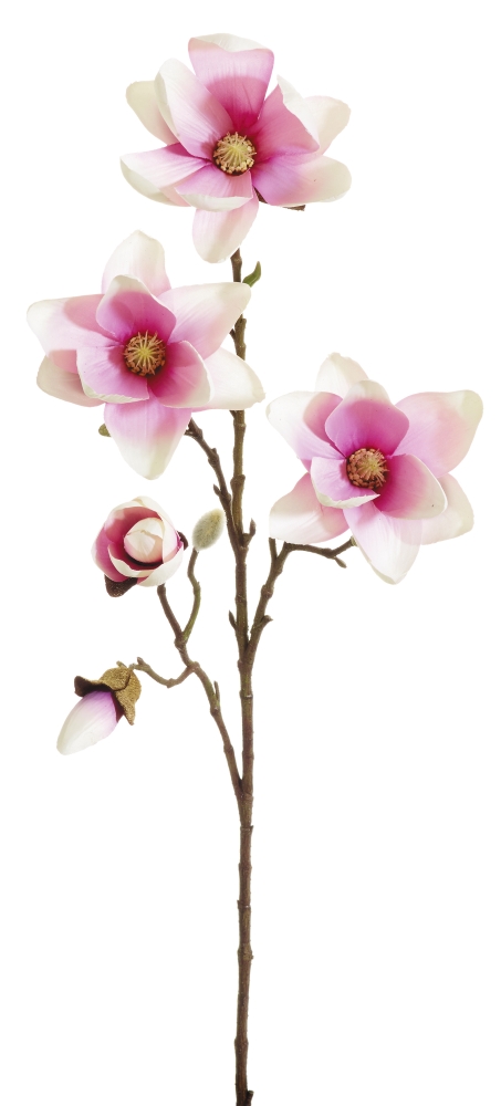 Magnolienzweig x 8 78cm Blütenkopf Ø ca. 4/11cm Farbe: rosé-weiß