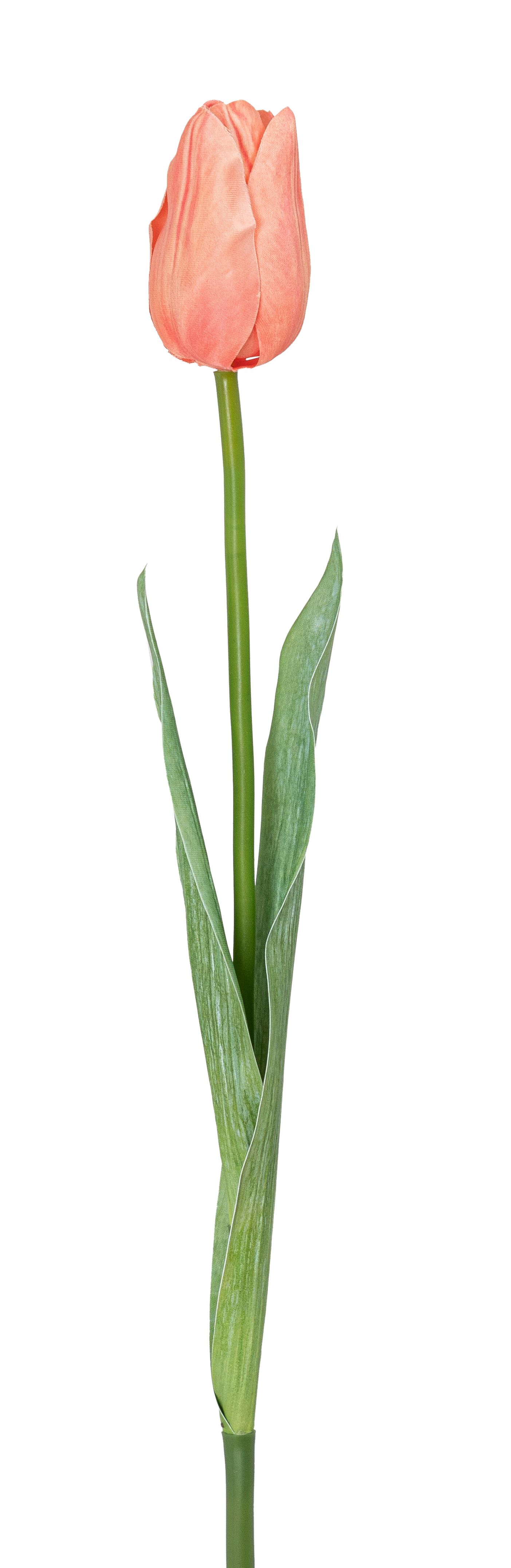 Tulpe 50cm Blütenkopf Ø ca. 4,5cm Farbe: orange