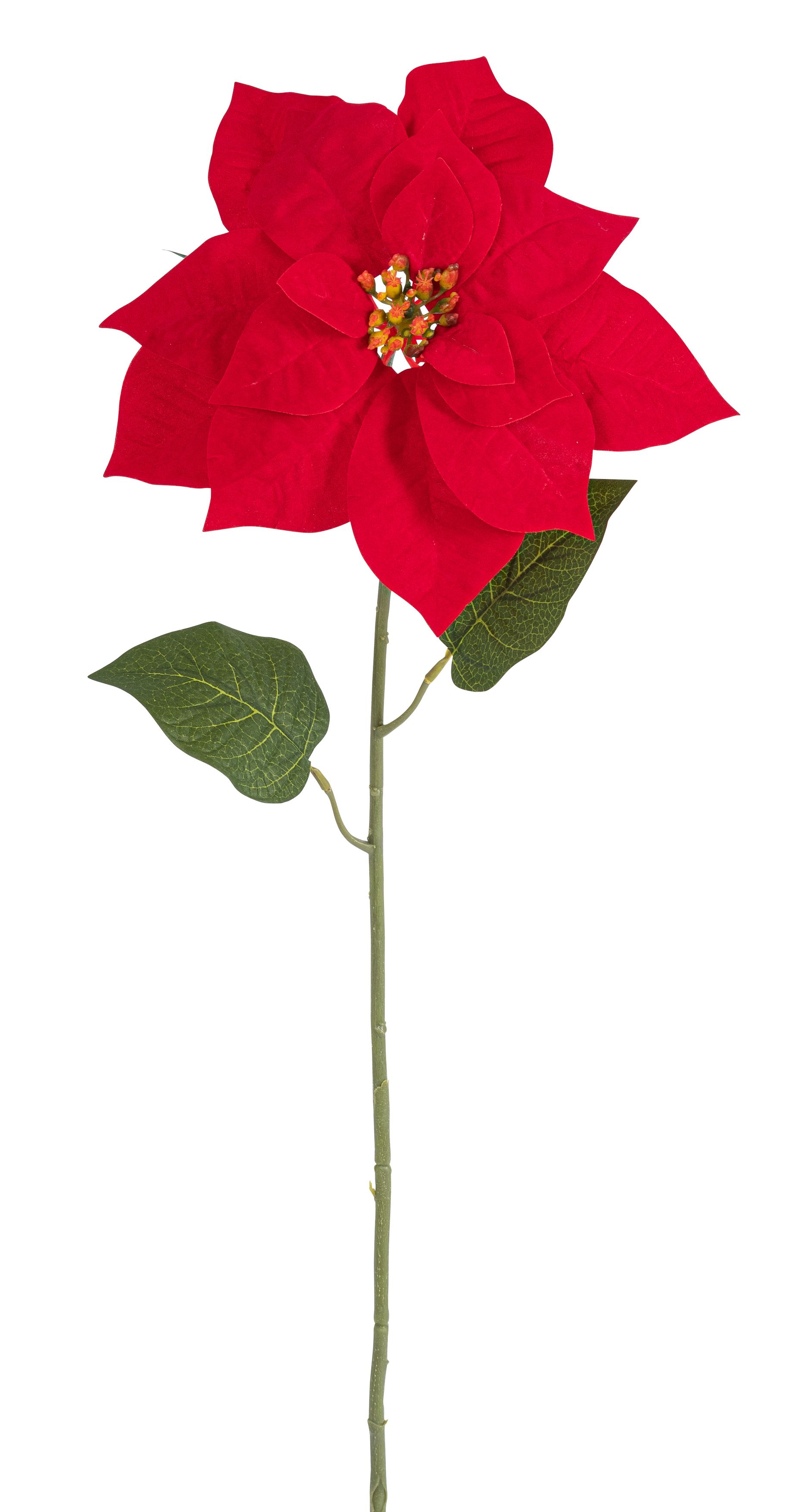 Poinsettia 74cm Blütenkopf Ø ca. 24cm Farbe: rot