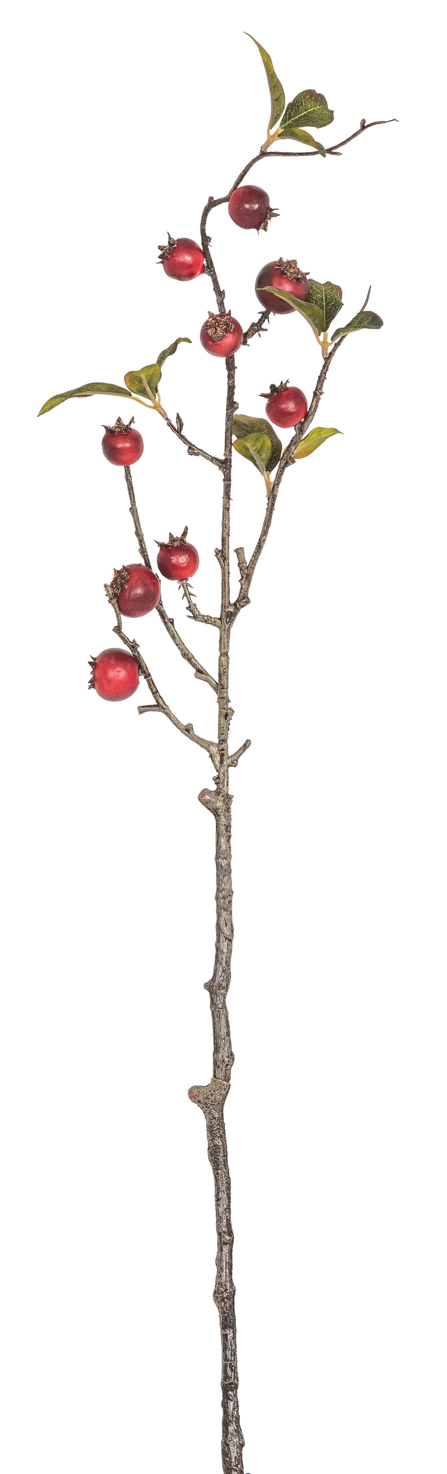 Hagebuttenzweig x 9 69cm Farbe: burgund