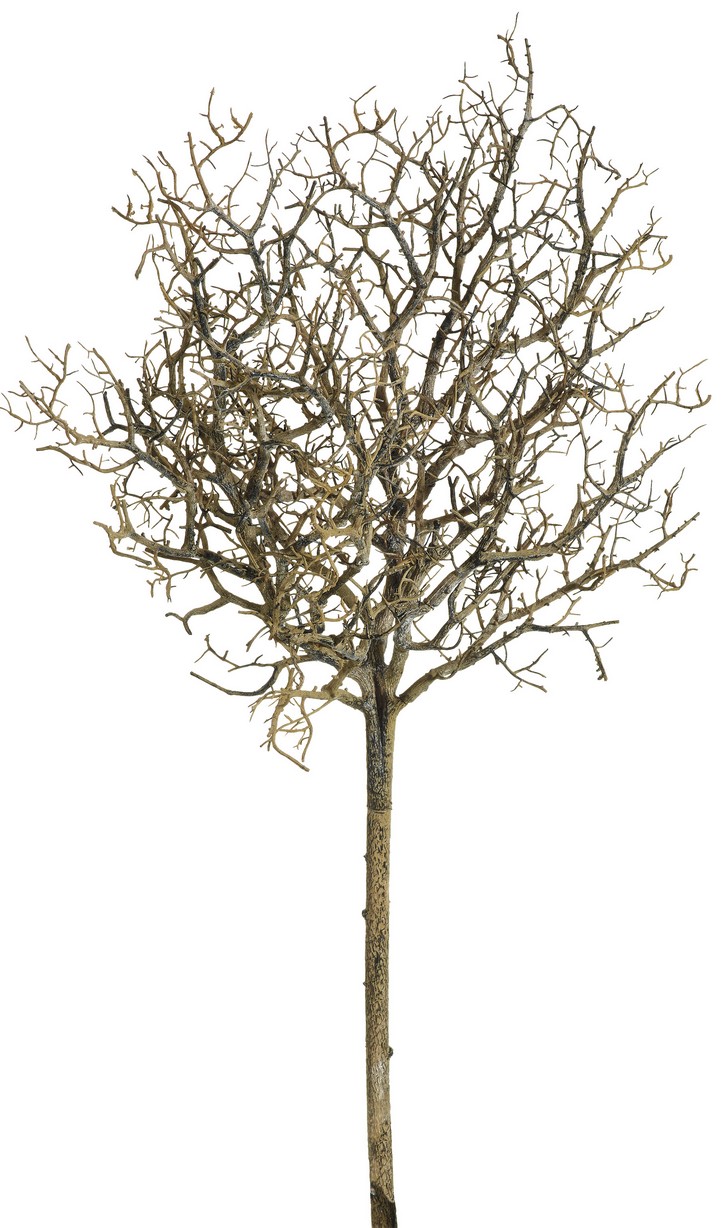 Korallenbusch 74cm Farbe: braun