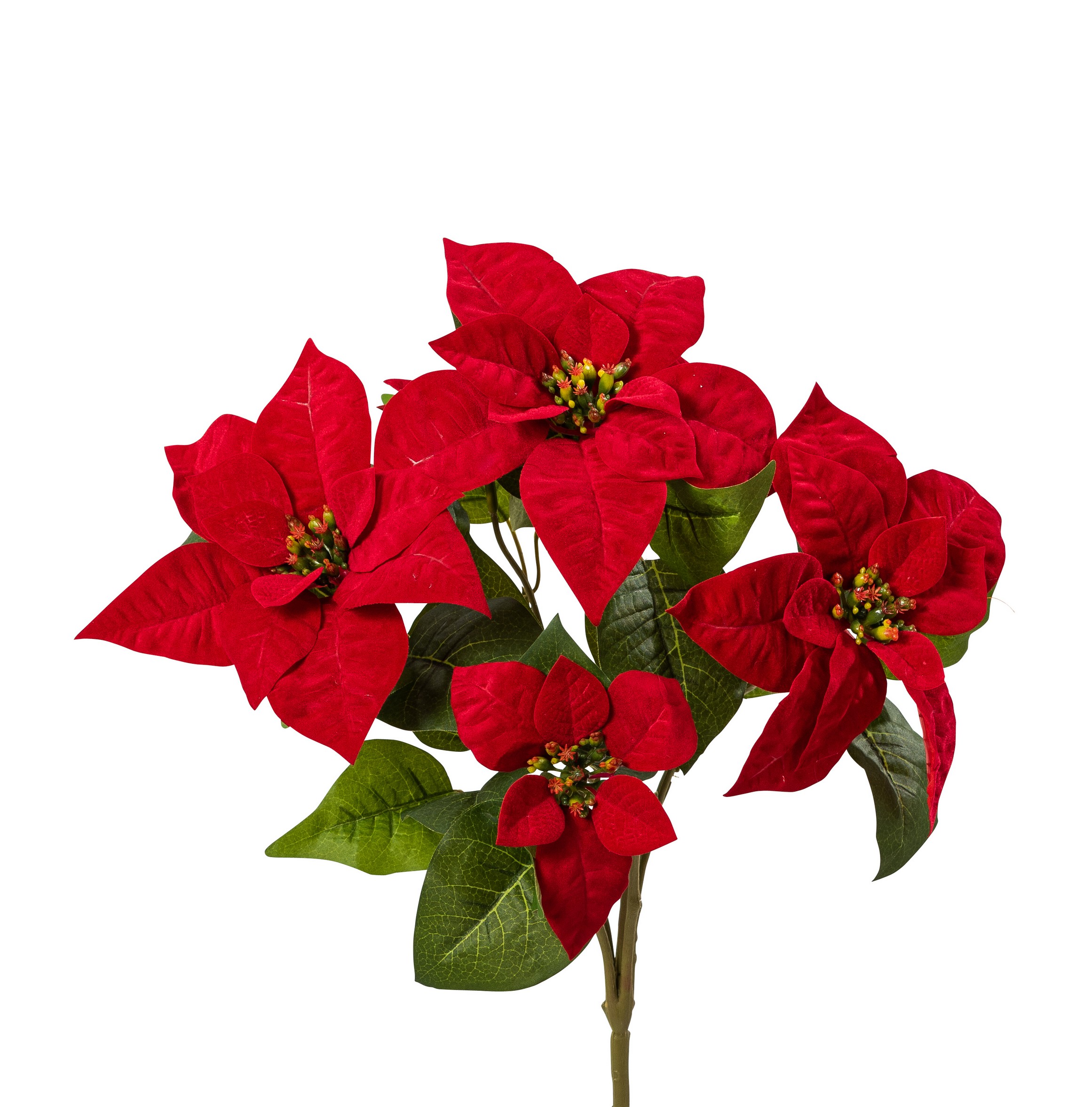 Velvet-Poinsettiabusch x 5 45cm Blütenkopf Ø ca. 12/17cm Farbe: rot