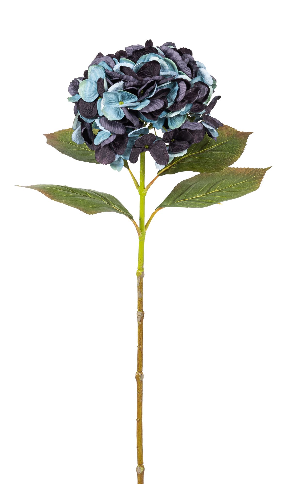 Hortensie 70cm Blütenkopf Ø ca. 18cm Farbe: blau