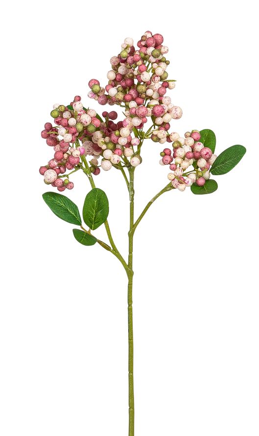 Beerenpick 3-fach 35cm Farbe: rosé-weiß