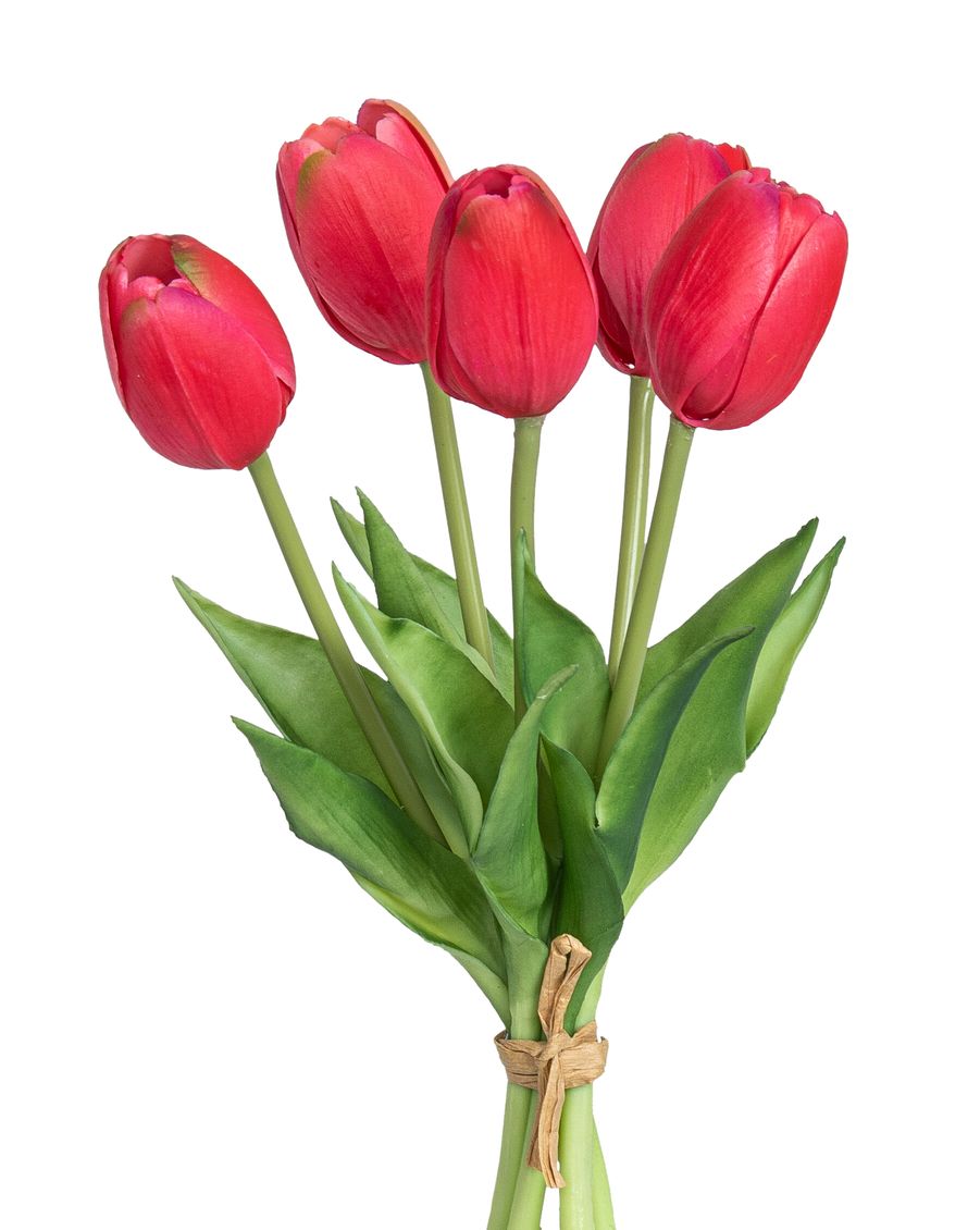 Tulpenbund x 5 26cm Blütenkopf Ø ca. 4cm Farbe: rot