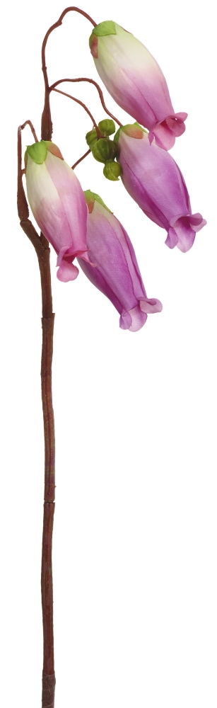 Glockenkalanchoe x 7 52cm Farbe: lila