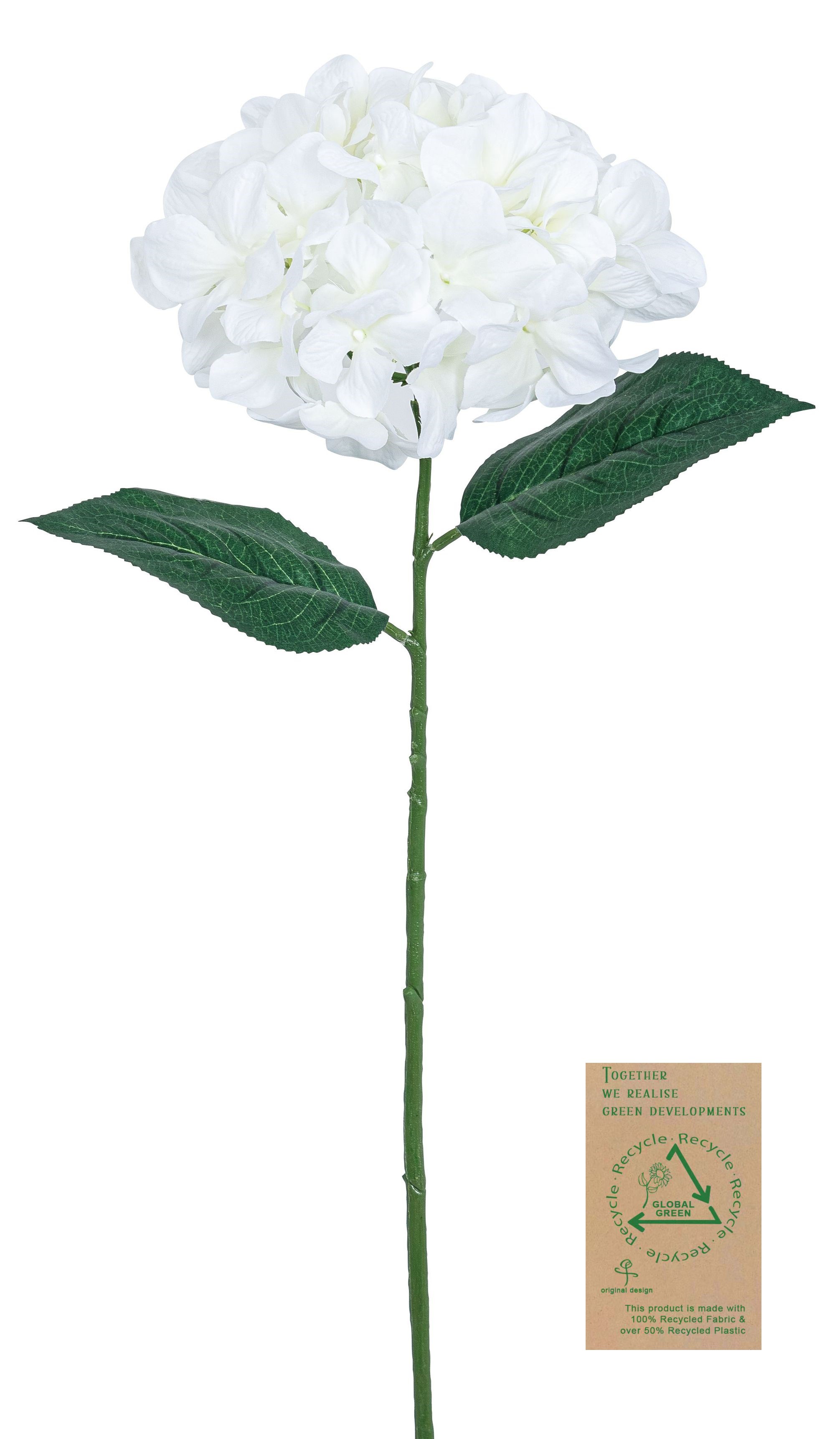 Hortensie RE 68cm Blütenkopf Ø ca. 23cm Farbe: elfenbein