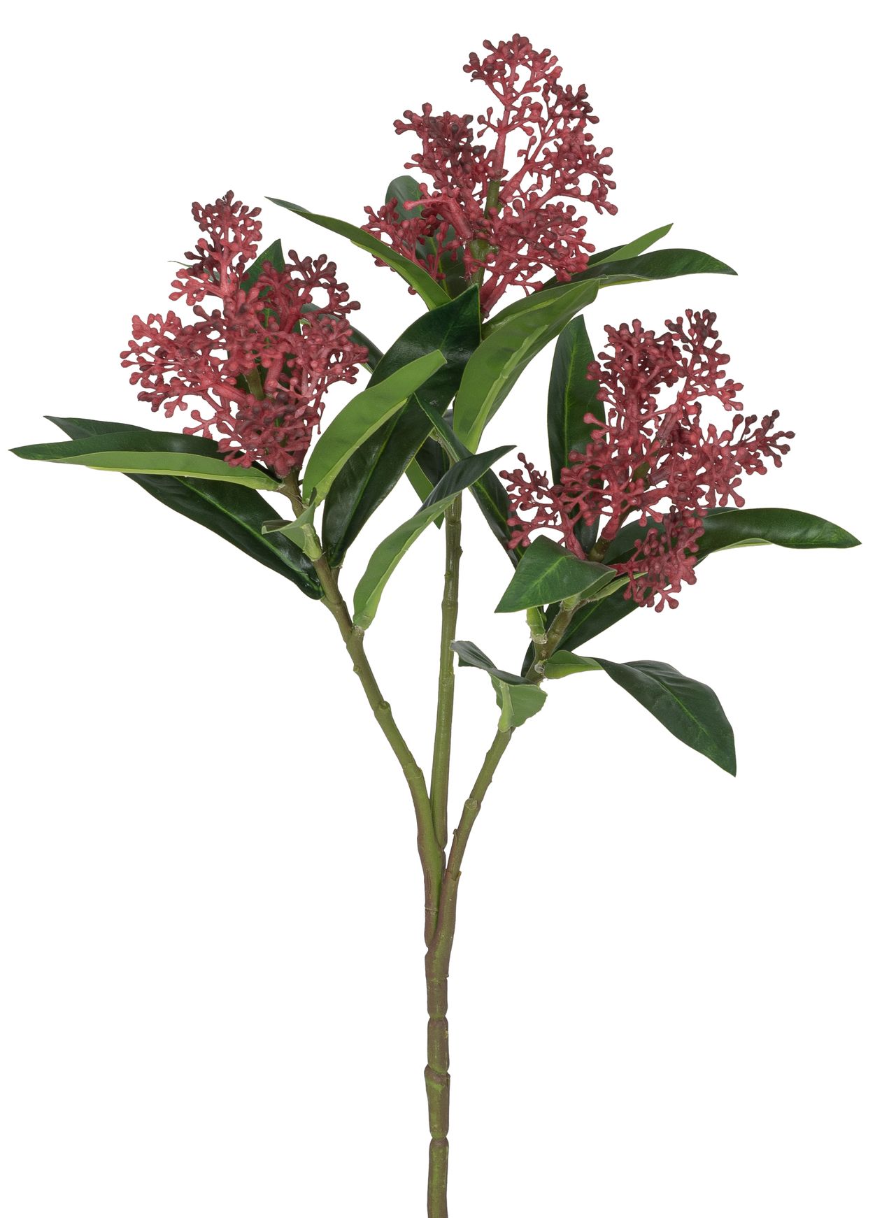 Aglaiazweig x 3 47cm Blütenkopf Ø ca. 6cm Farbe: cerise