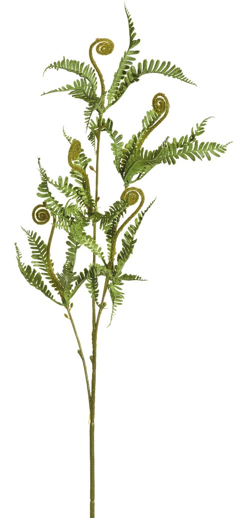 Drachenfarnzweig 5-fach 65cm Farbe: grün