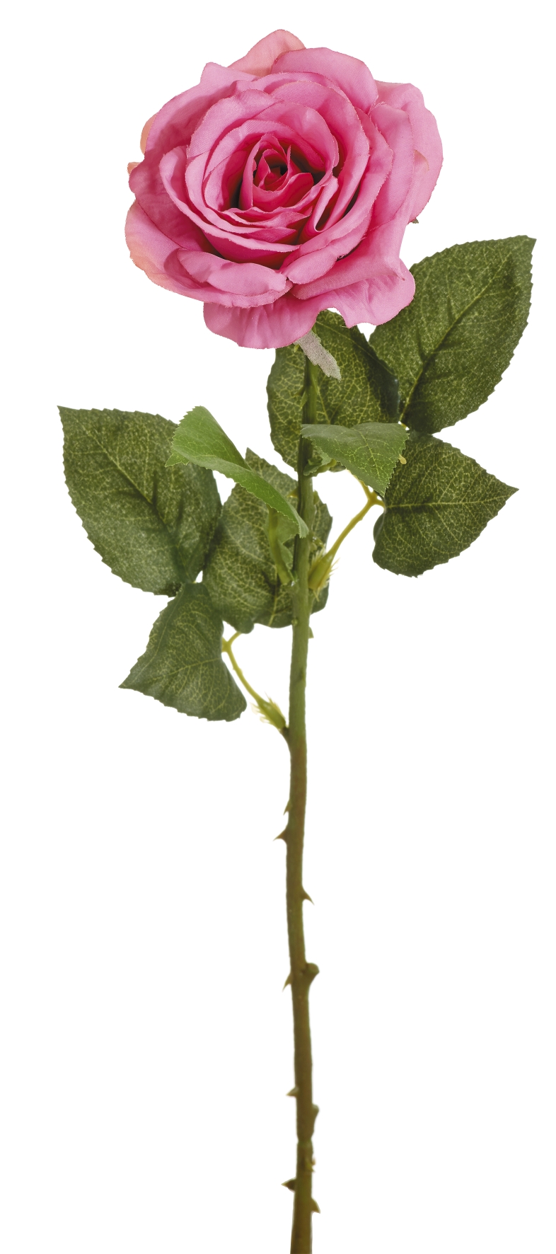 Duftrose 52cm Blütenkopf Ø ca. 8cm Farbe: malve