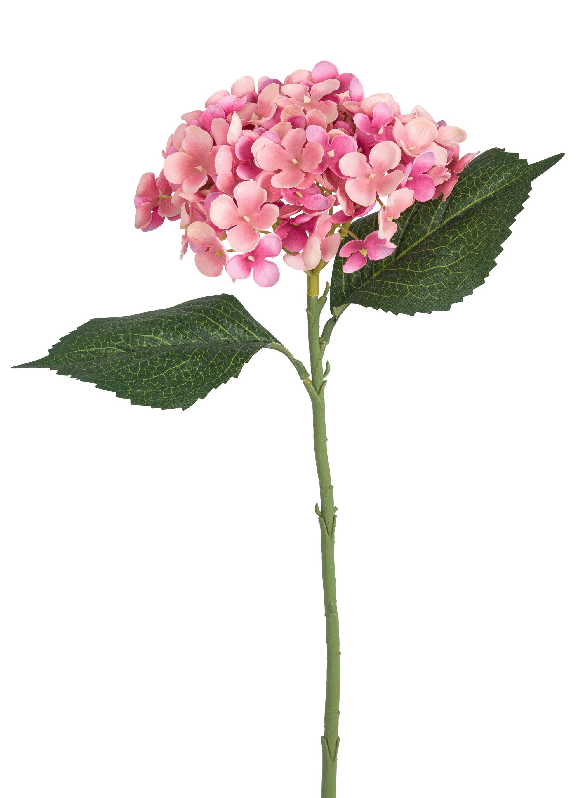 Hortensie 47cm Blütenkopf Ø ca. 15cm Farbe: rosé-gemischt