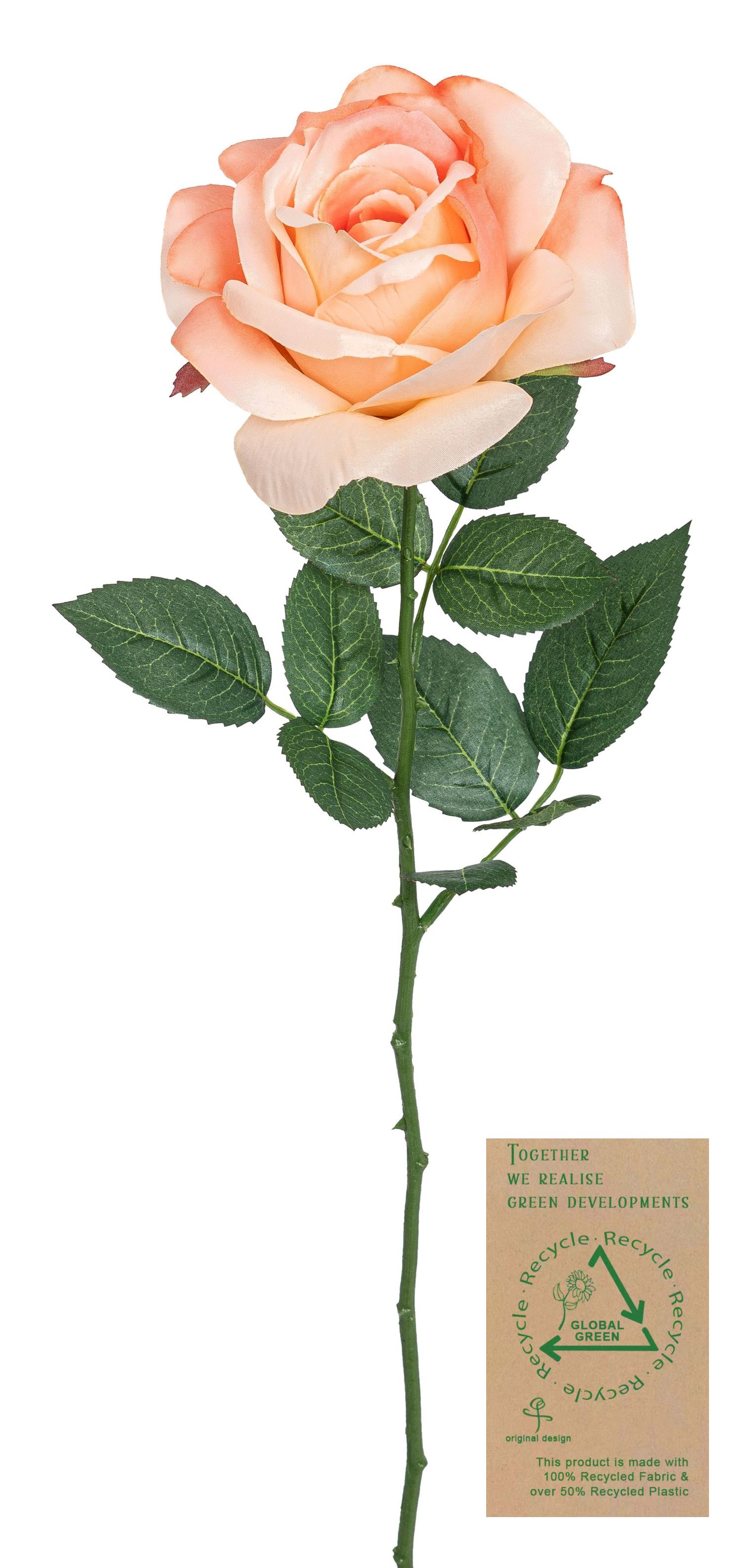 Rose RE 63cm Blütenkopf Ø ca. 13cm Farbe: lachs
