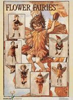 Poster-Flower-Fairies X Farbe: grau