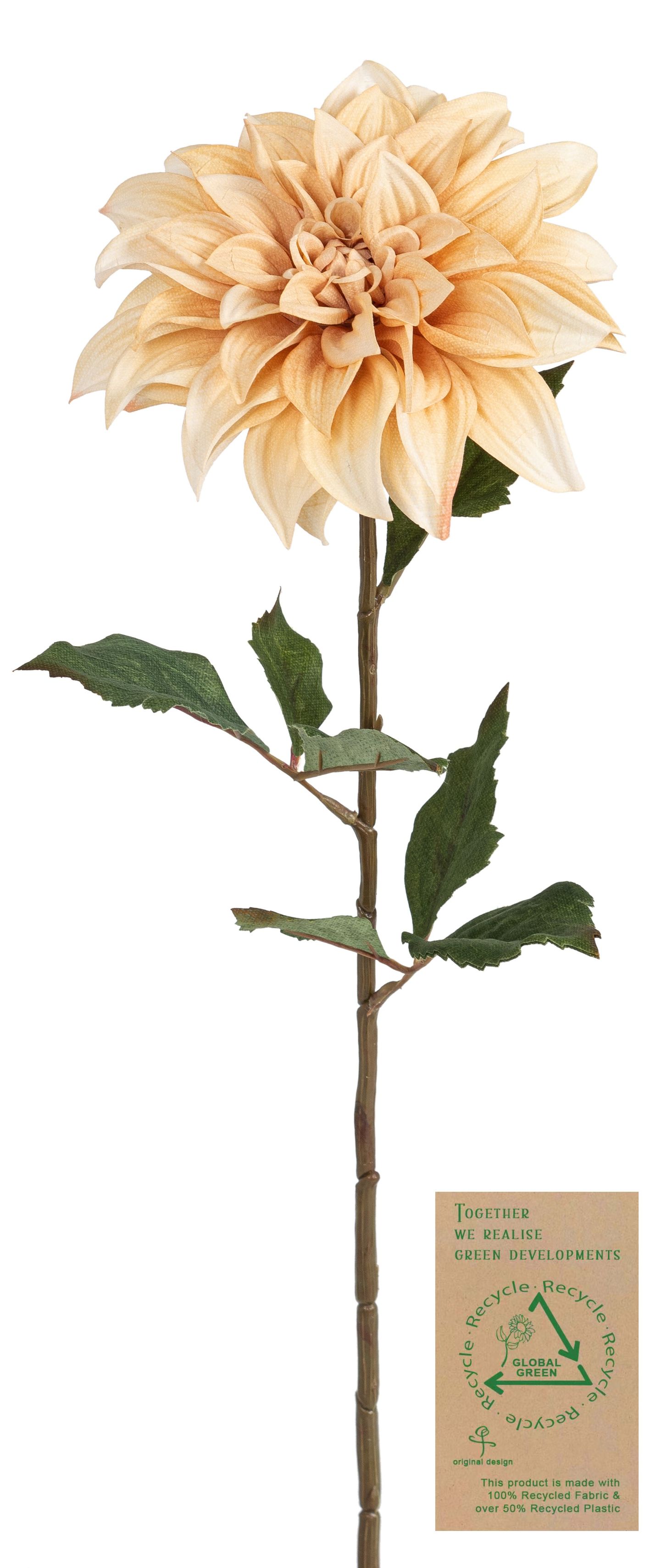Dahlie RE 66cm Blütenkopf Ø ca. 16cm Farbe: creme