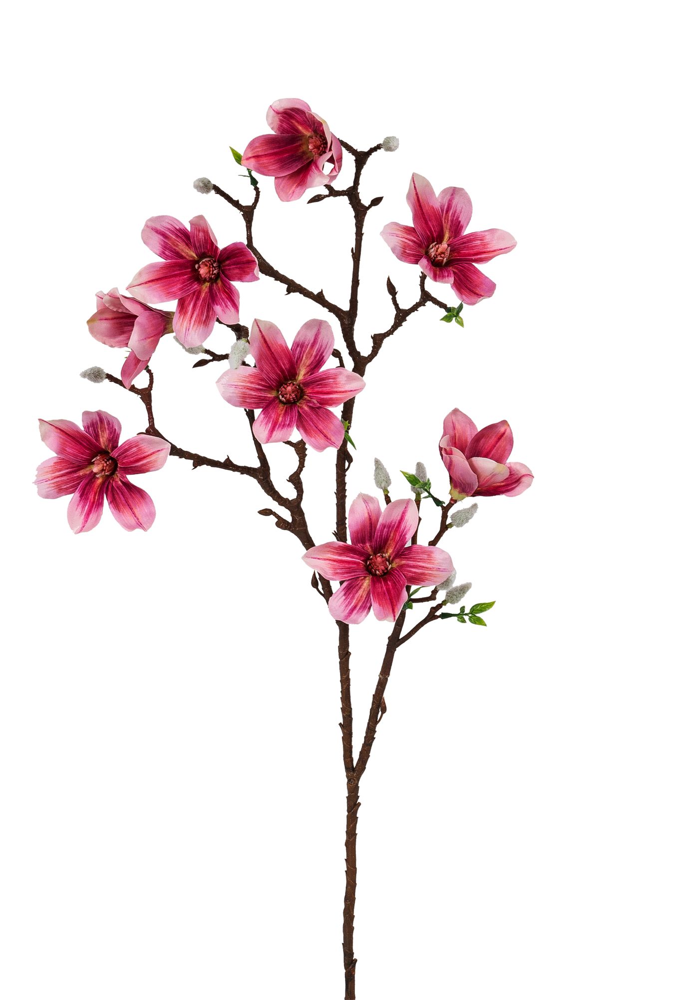 Magnolienzweig x 8 89cm Blütenkopf Ø ca. 9cm Farbe: rosé-gemischt
