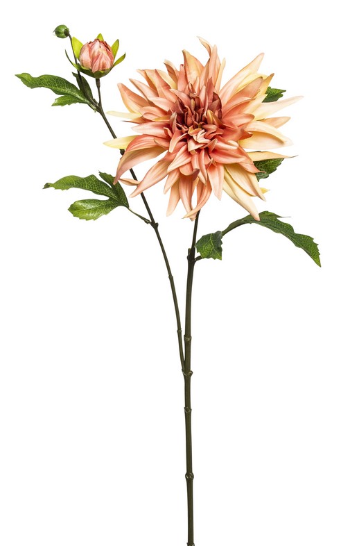 Dahlie x 2 63cm Blütenkopf Ø ca. 15cm Farbe: lachs