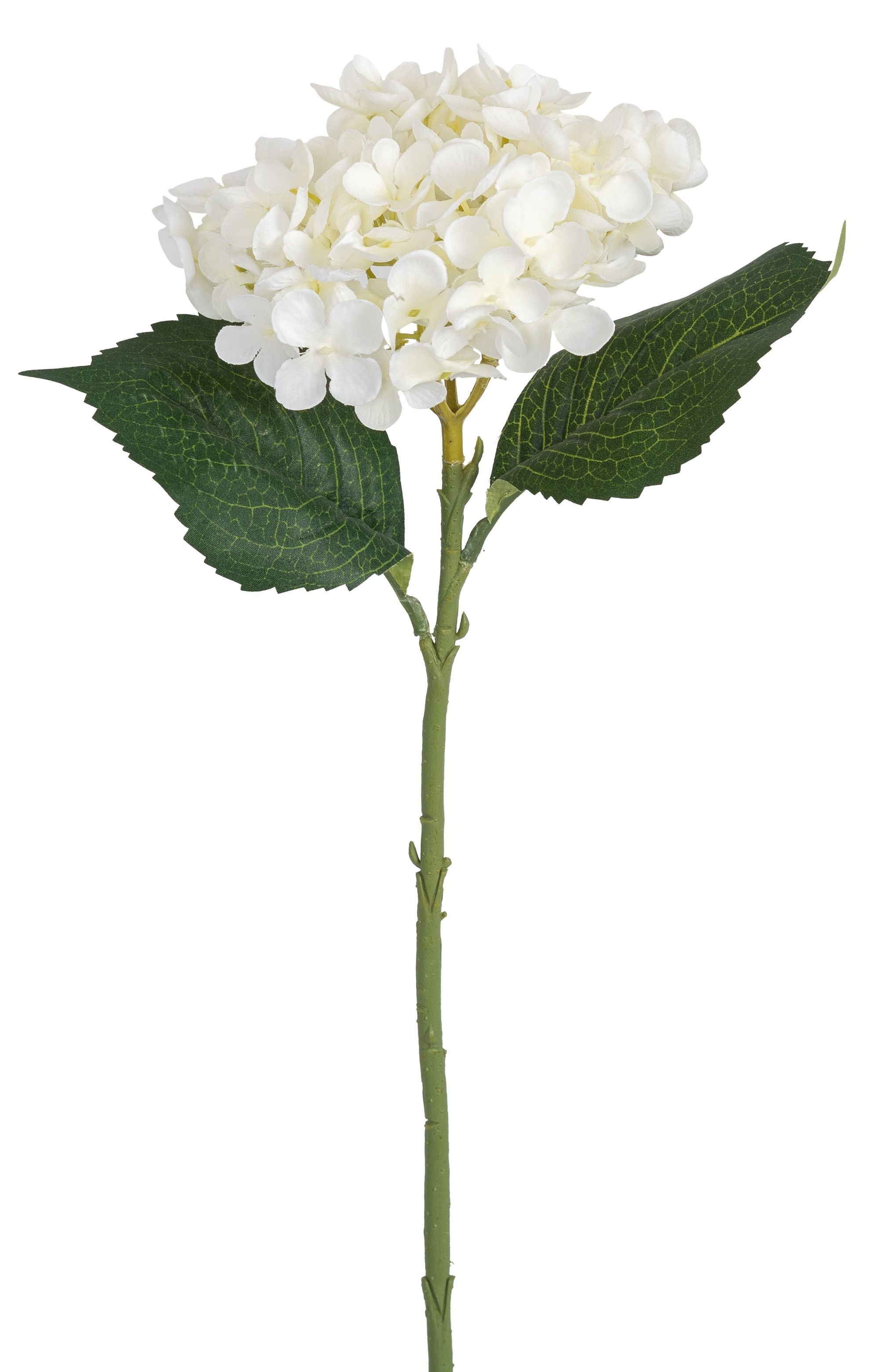 Hortensie 47cm Blütenkopf Ø ca. 15cm Farbe: elfenbein