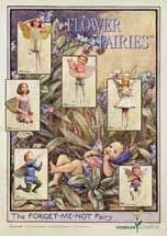 Poster-Flower-Fairies XV Farbe: grau