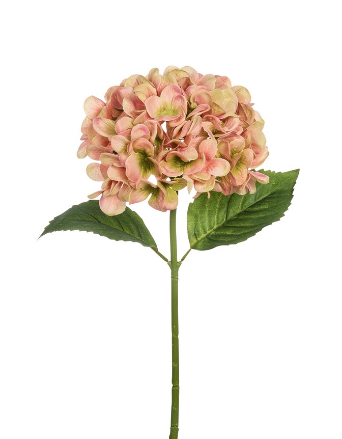 Hortensie 49cm Blütenkopf Ø ca. 16cm Farbe: rosé-gemischt