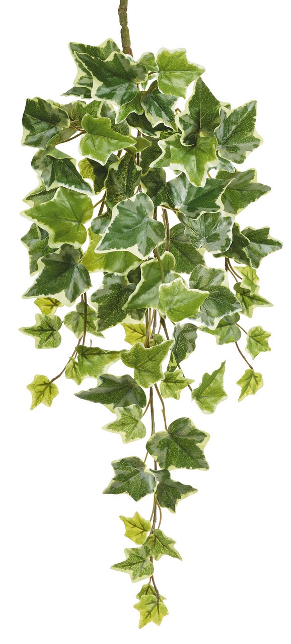 Efeubusch 9-fach x 78 57cm Blattgröße Ø ca. 3,5/4,5/6cm Farbe: grün-weiß