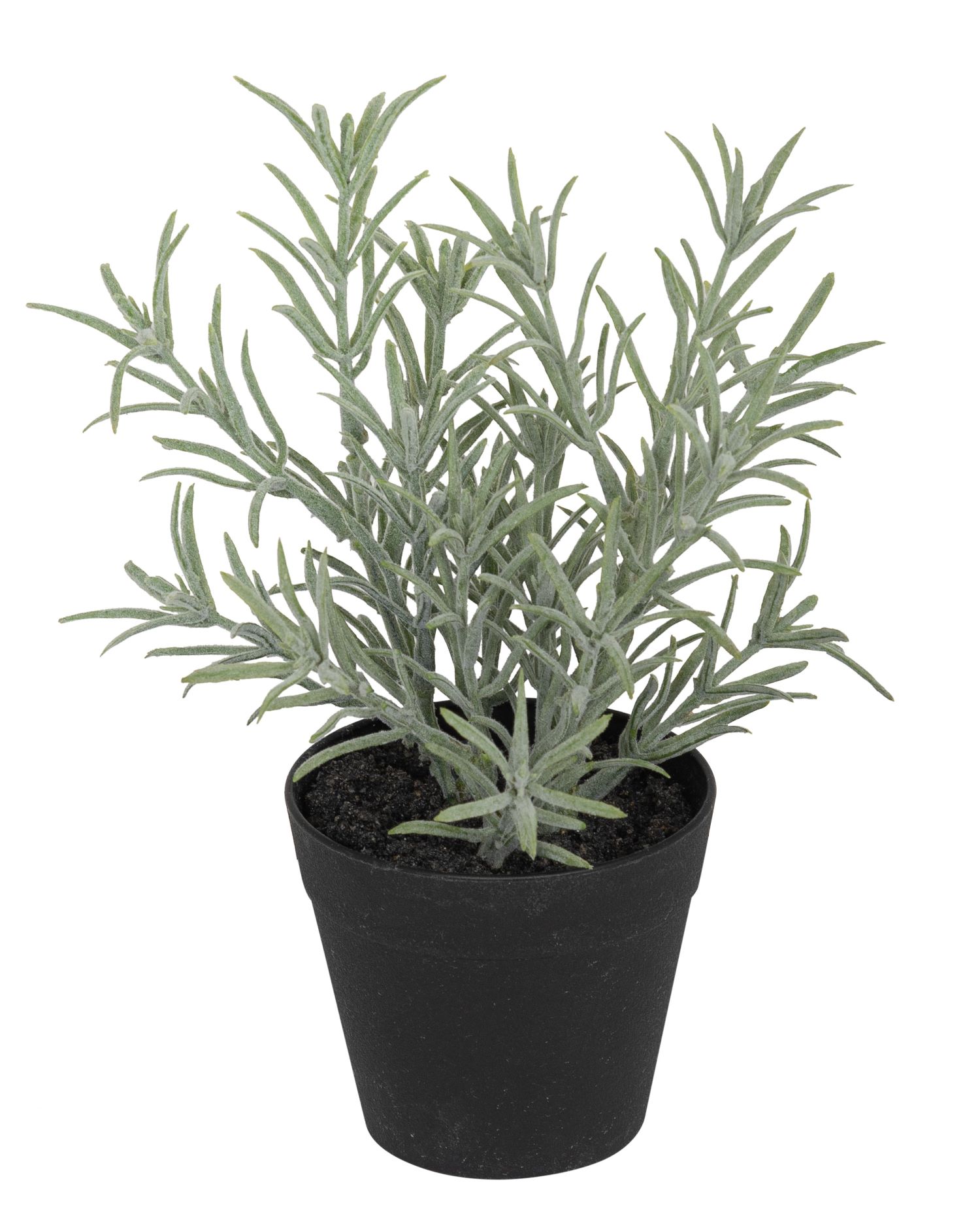 Lavendeltöpfchen 20cm Topf: Höhe ca. 7,5cm Ø oben ca. 9cm Ø unten ca. 6cm Farbe: grün-weiß