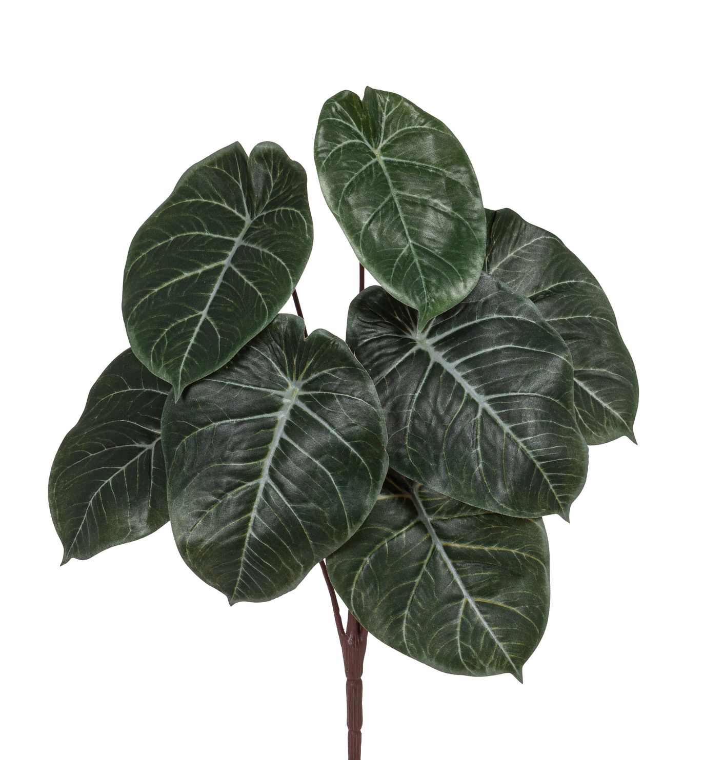 Caladiumbusch x 7 41cm Farbe: grün