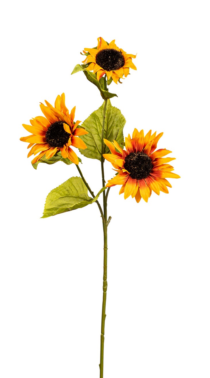 Sonnenblumenzweig x 3 49cm Blütenkopf Ø ca. 10cm Farbe: orange