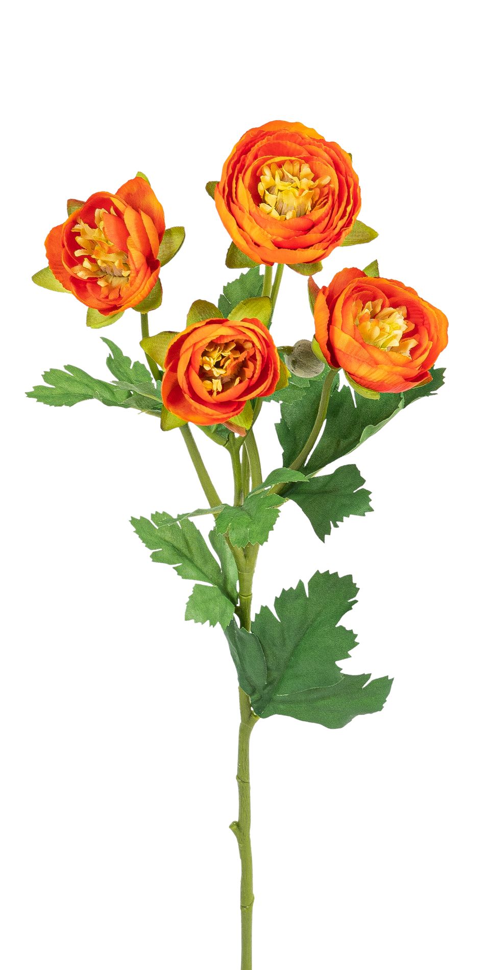 Ranunkel x 4 60cm Blütenkopf Ø ca. 4/6cm Farbe: orange