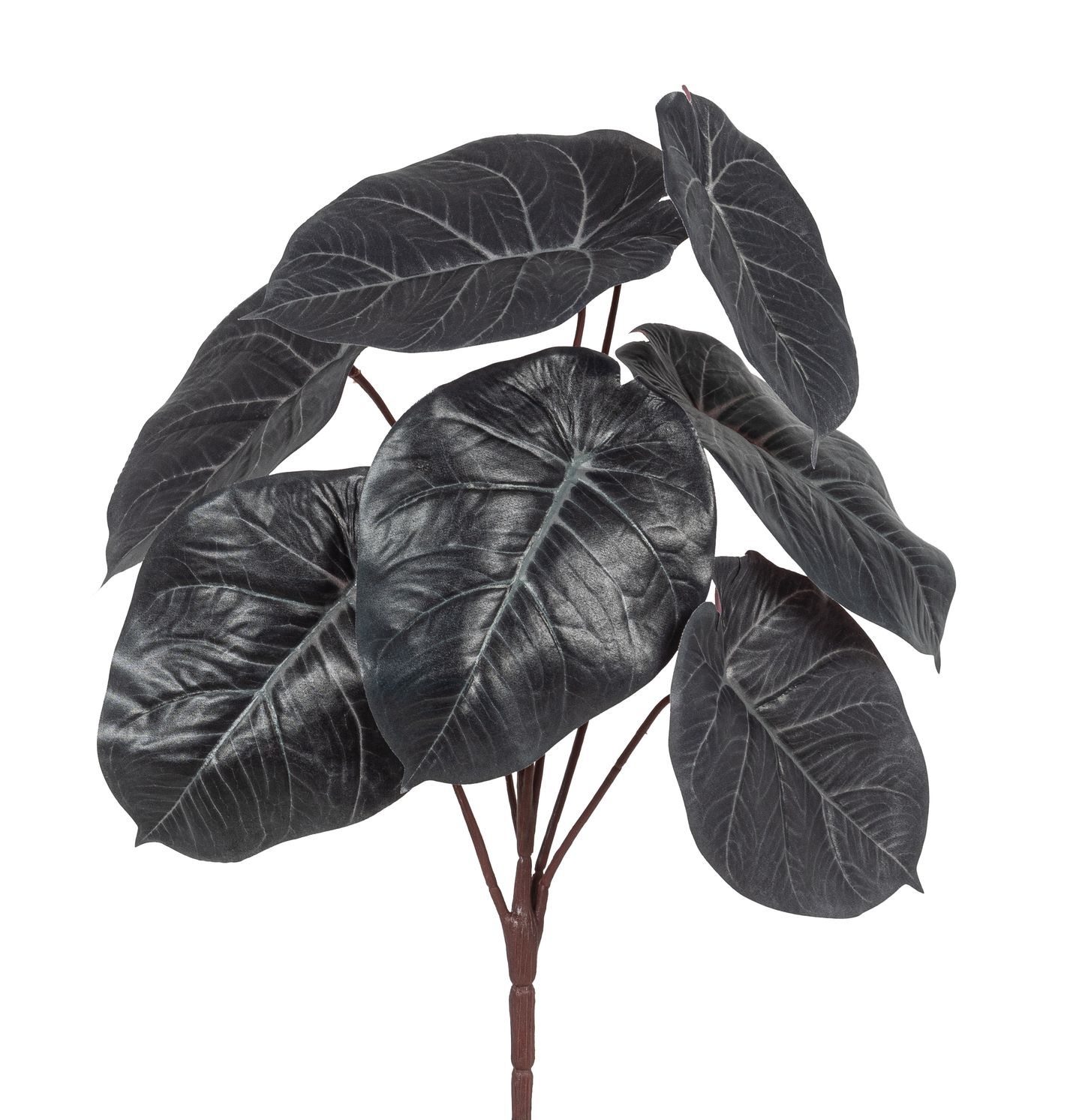 Caladiumbusch x 7 41cm Farbe: dunkelgrün