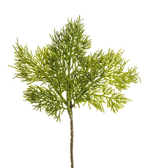 Zypressenpick x 4 32cm Farbe: grün